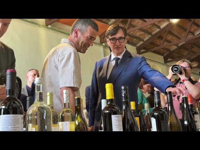 Salvador Illa presideix la presentació de «L’Avinguda del Vi i de l’Oli de l’Empordà» a Capmany